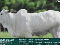 Lote 328