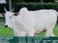 Lote 422