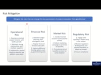 Risk Mitigation