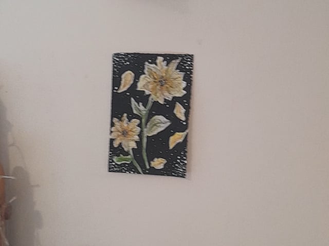 Looking for student flatmate Main Photo