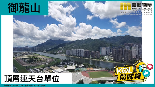 頂層連天台單位