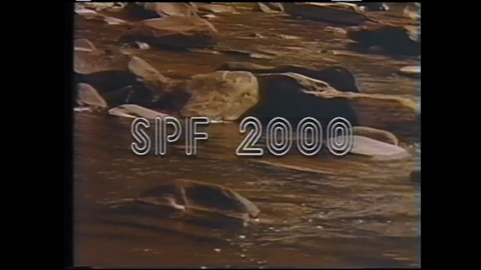SPF 2000