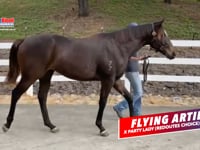 Flying Artie x Party Lady Colt Promo