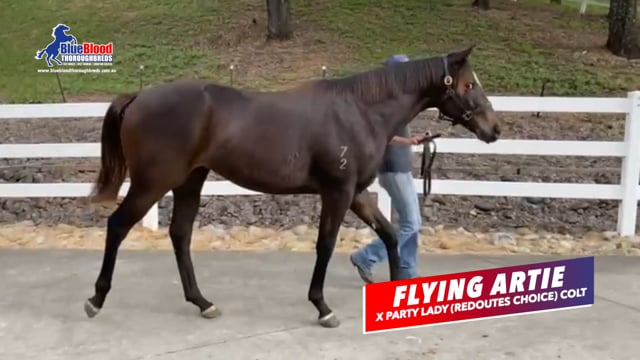 Flying Artie x Party Lady Colt Promo