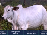 Lote 21