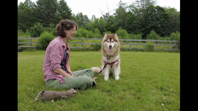 Lucy Mackenzie "Adoptables"  July 2024