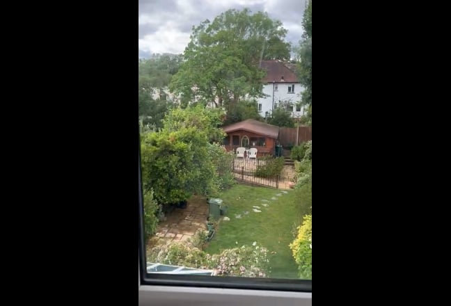 Video 1: