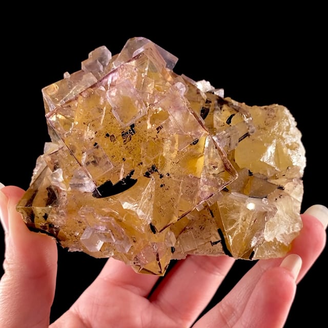 Fluorite (gemmy ''phantom'' crystals) with Petroleum var: Bitumen