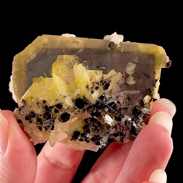 Wulfenite (large crystal!)