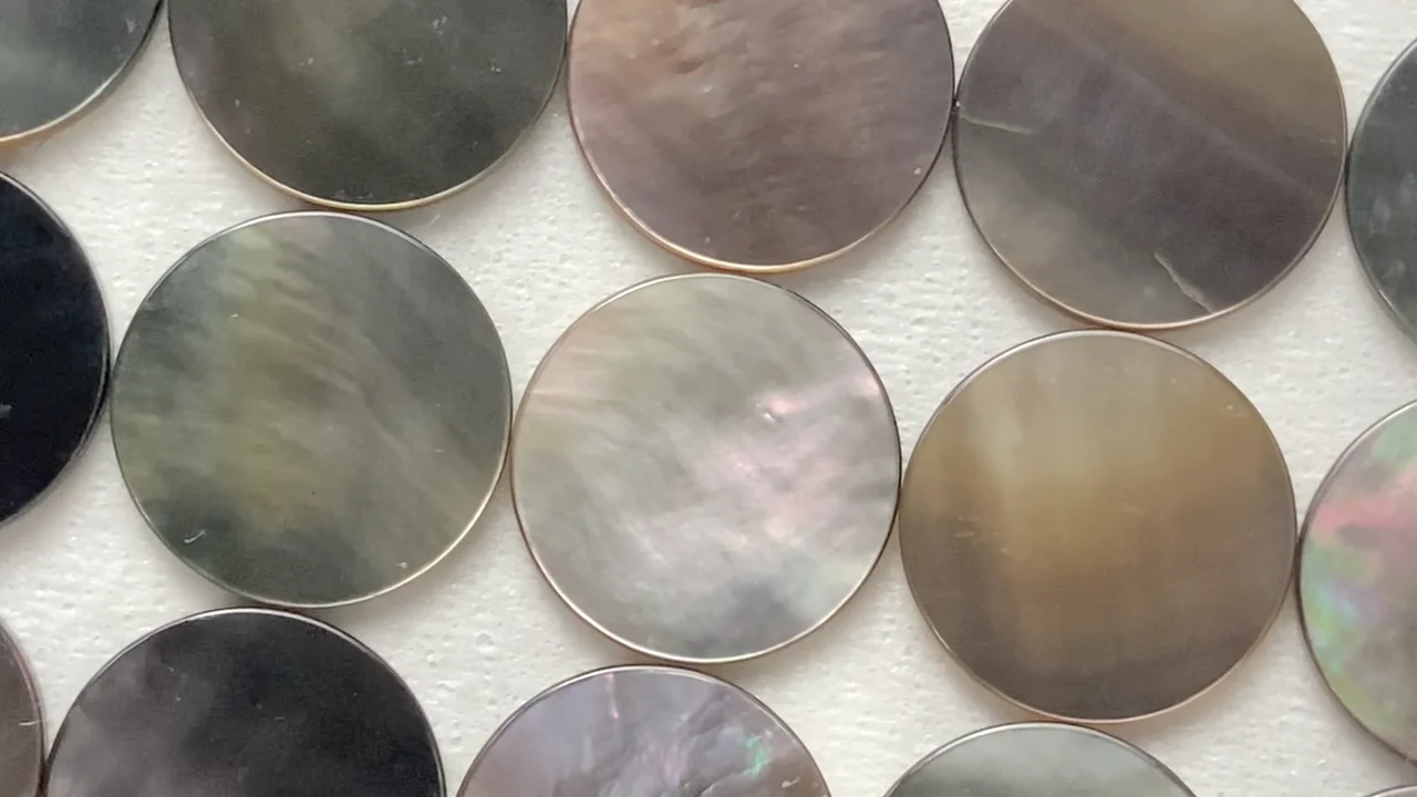 黒色巻貝型化石 約15cm 黒色巻貝型化石 約15cm gastropod010-2.jpg