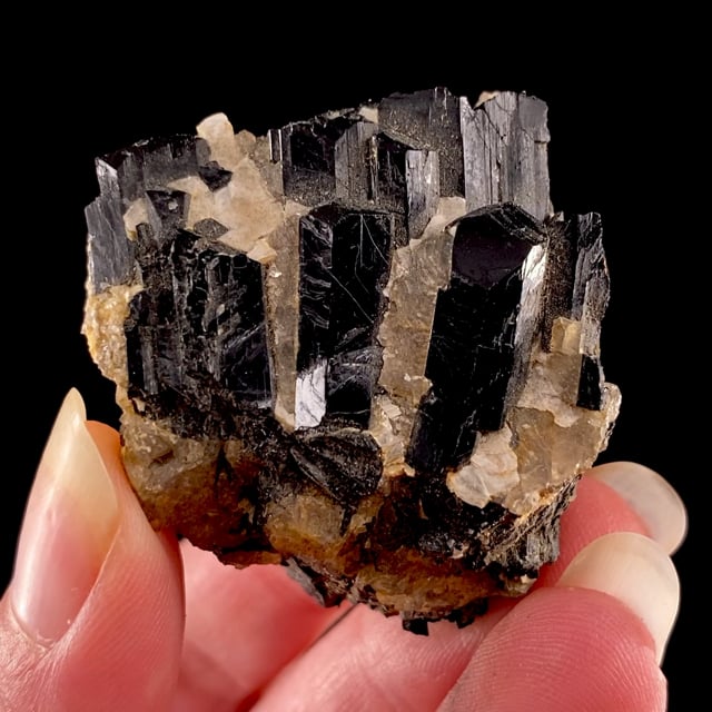 Schorl (VERY RARE locality specimen)