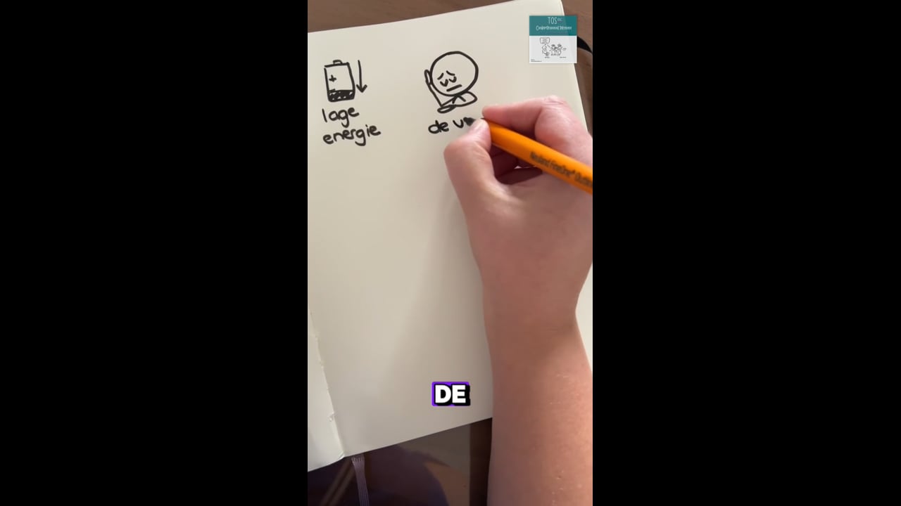 Vermoeidheid, de