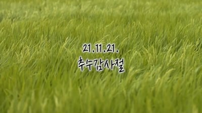 2. 메세지와 스토리..