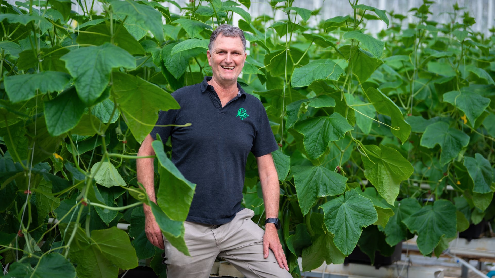 House of Taste Cucumbers