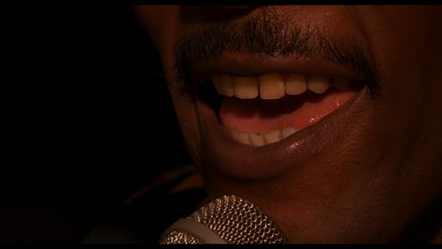 Don't Shoot Me (Excerpt)