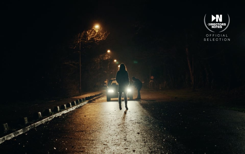 New Movies: Ludo (2024) by Audrey Mascina — Two Souls Lost on a Deserted Road
