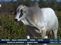 Lote 01