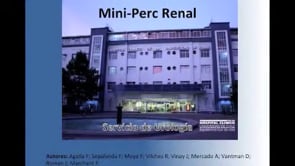 MINI PERC RENAL: UNA NUEVA HERRAMIENTA PARA EL ARSENAL ENDOUROLOGICO 