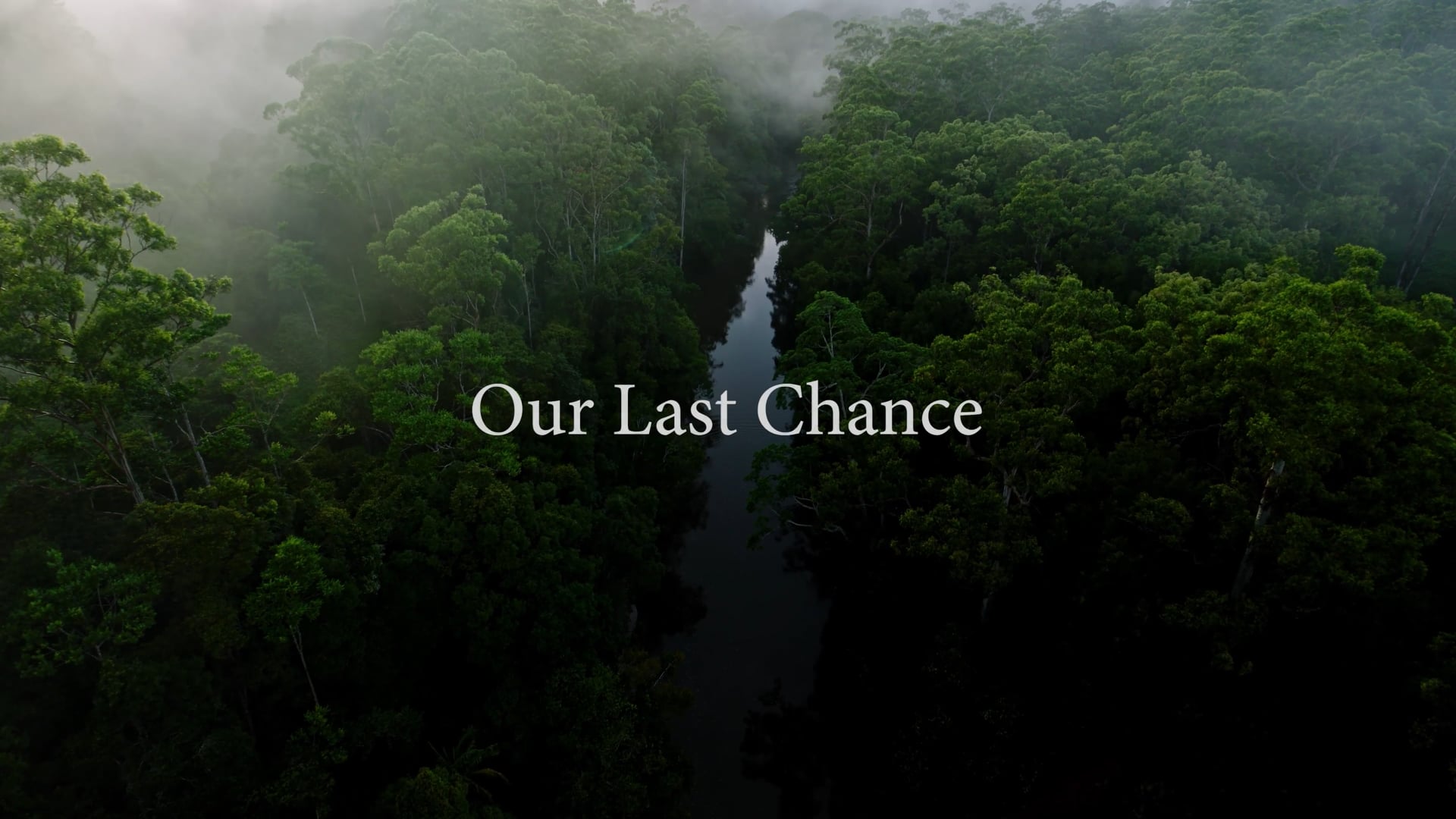 BMRG- Our Last Chance