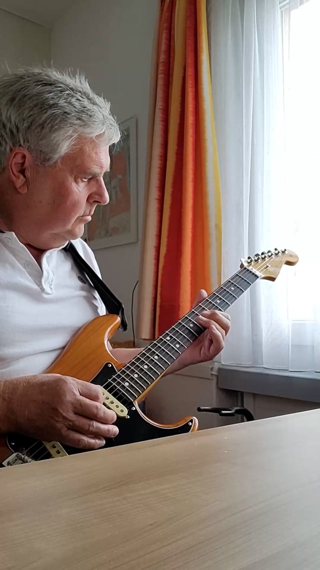 Alleinunterhalter video preview