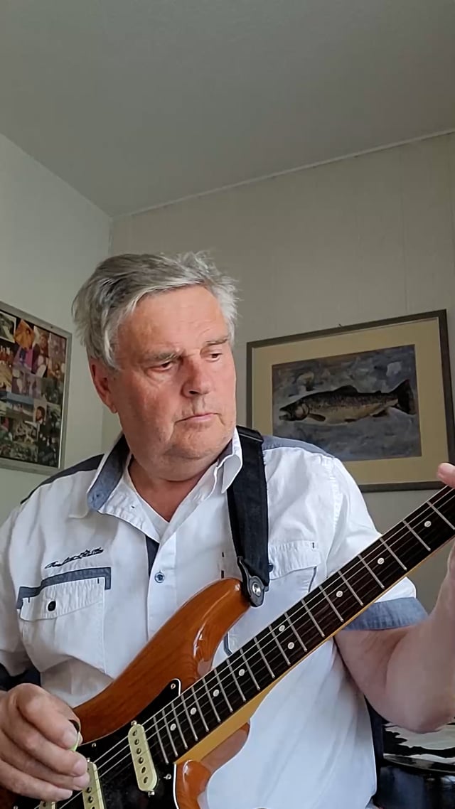 Alleinunterhalter video preview