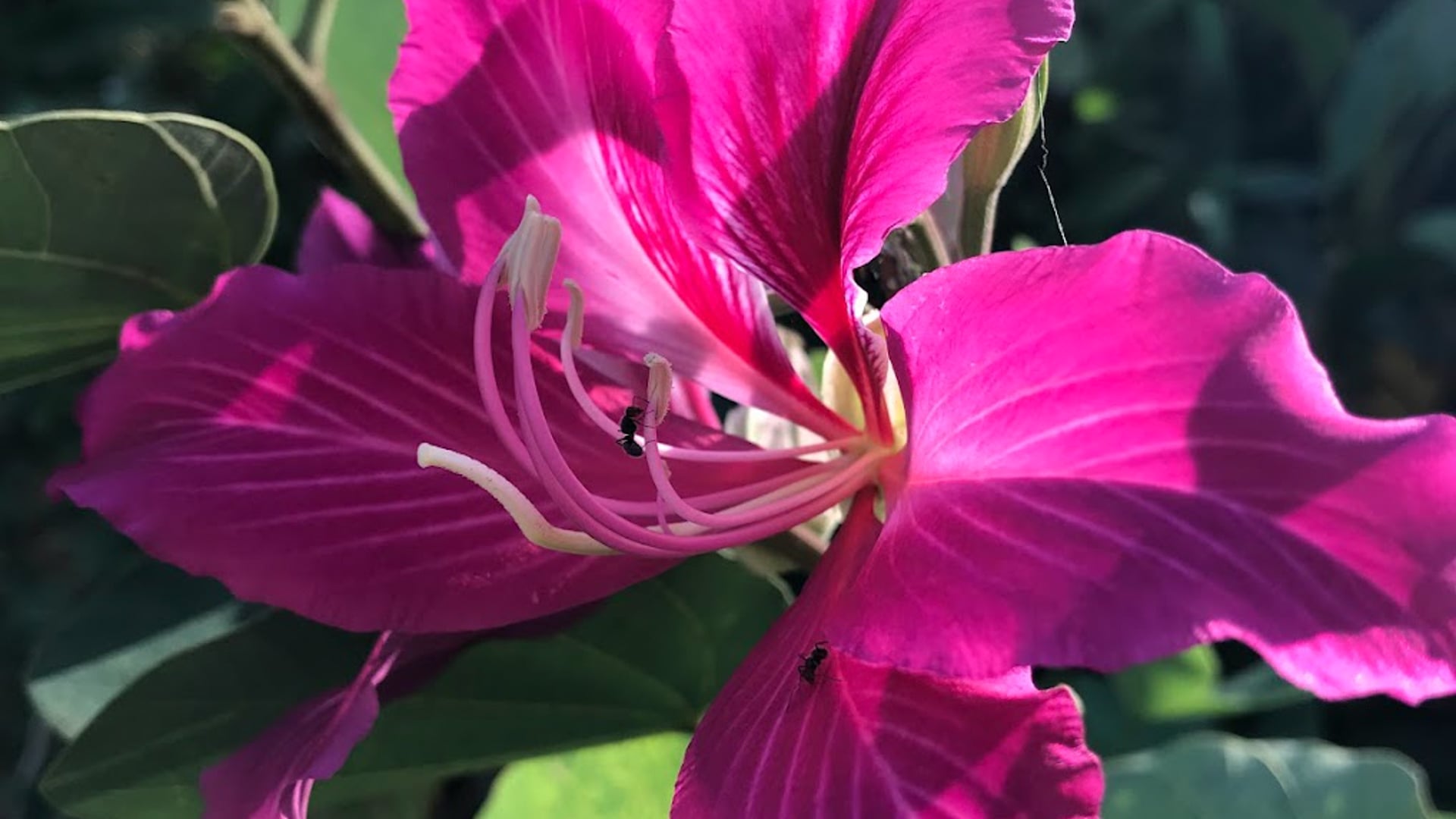 2024 June 24: Exploring Want vs. Need in Food Consumption