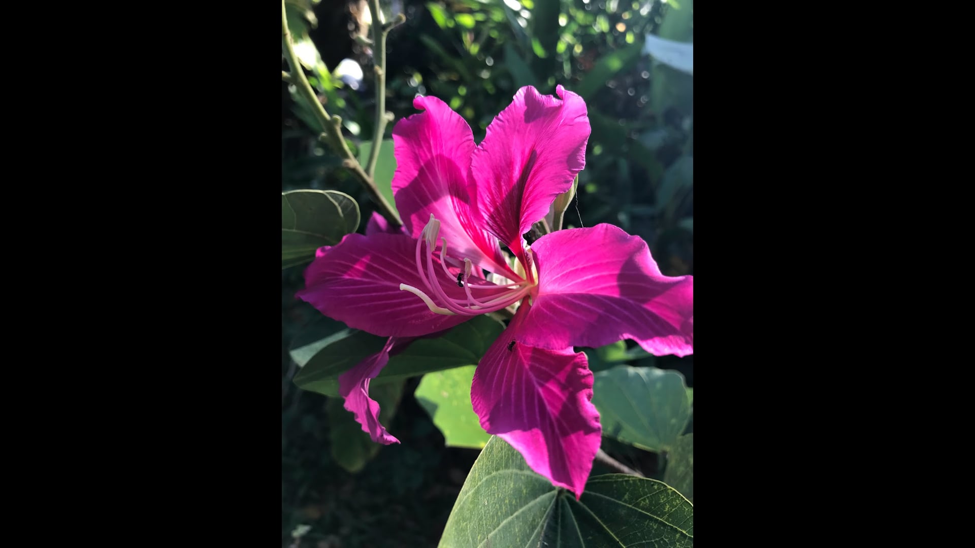 2024 June 24: Exploring Want vs. Need in Food Consumption