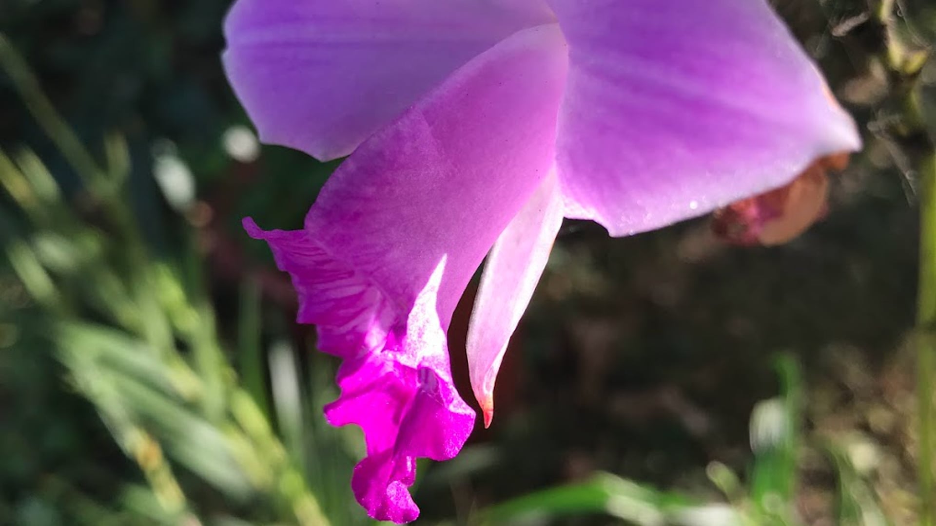 2024 June 26: Unmindful Consumption of Smartphones