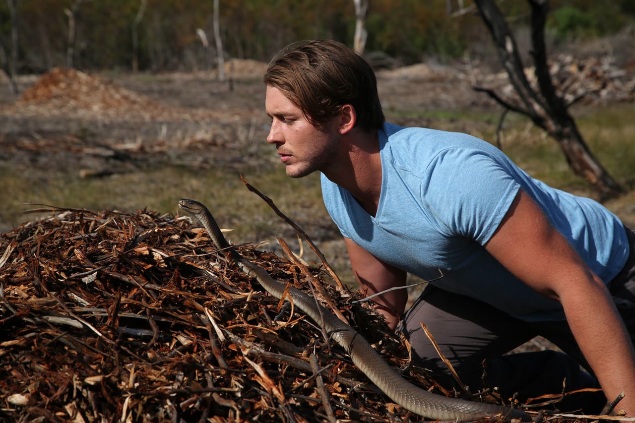 Africa's Deadliest Snakes - Kurdt Greenwood