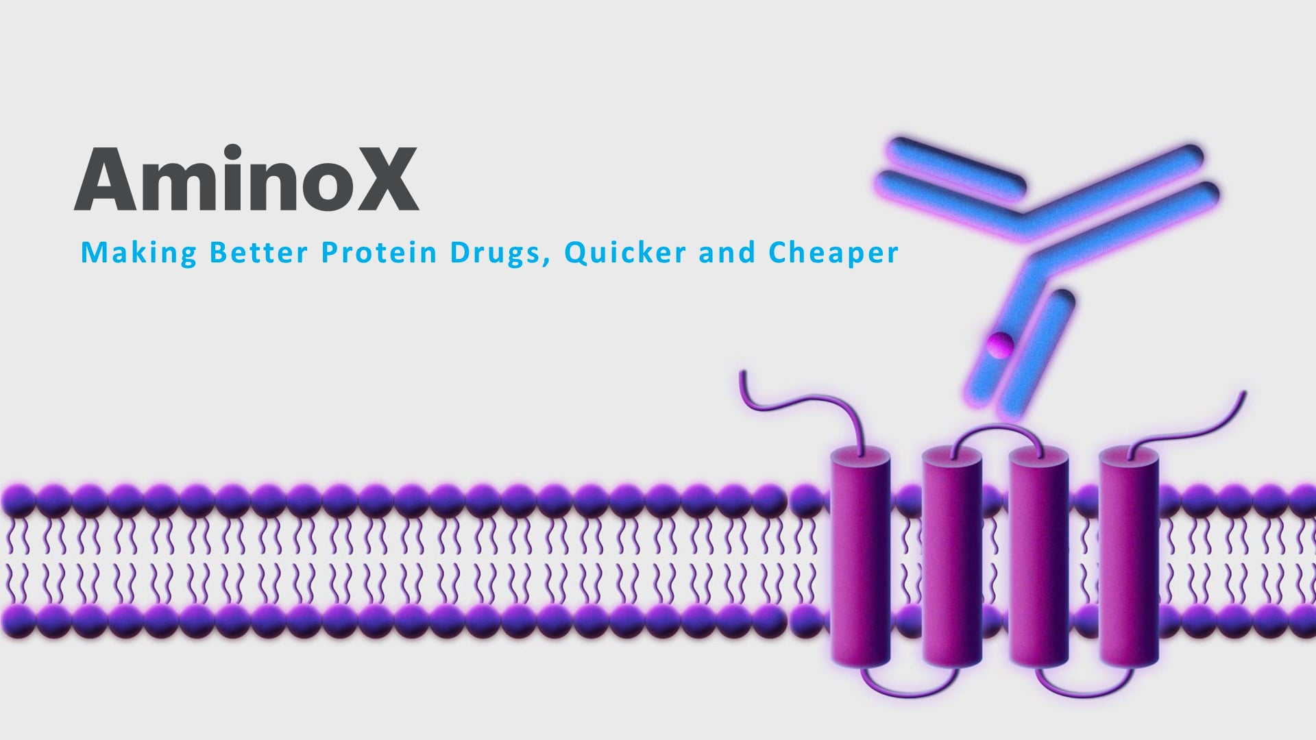 AminoX: Making Better Protein Drugs, Quicker and Cheaper