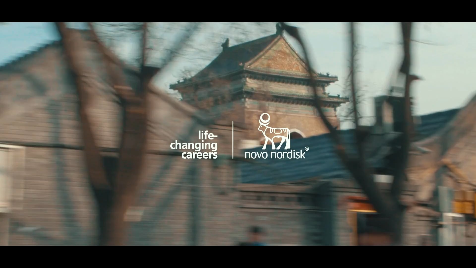 Novo Nordisk - Liu Shu