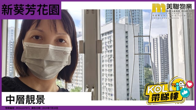 中層靚景