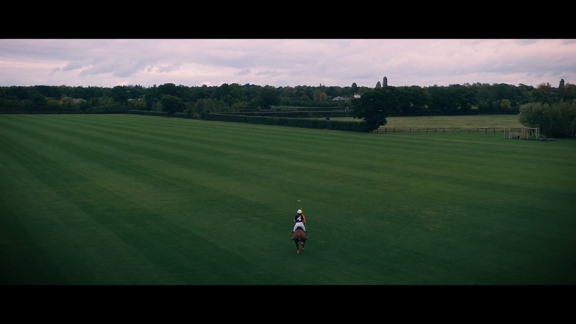 "We are Polo. And we're not" | Emsworth Polo
