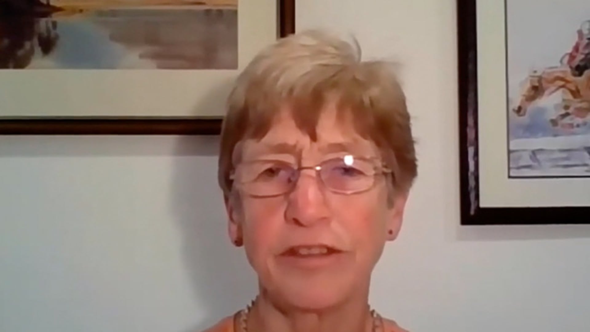 Diagnostic Imagery for Farriers and Hoof Care Professionals with Dr Sue Dyson MA Vet MB PhD DEO DipECVSMR