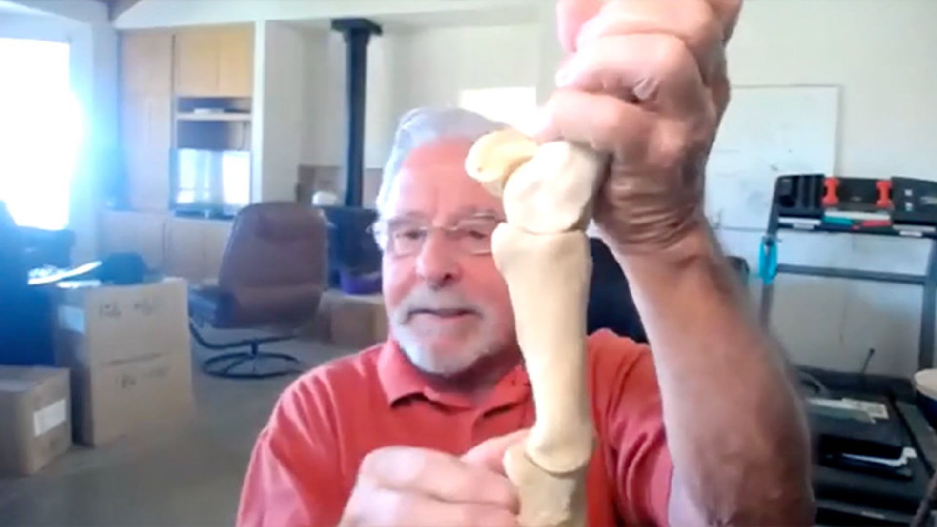 Are common foot pathologies predictable Part 3 with Dr. Mark Caldwell PhD FWCF