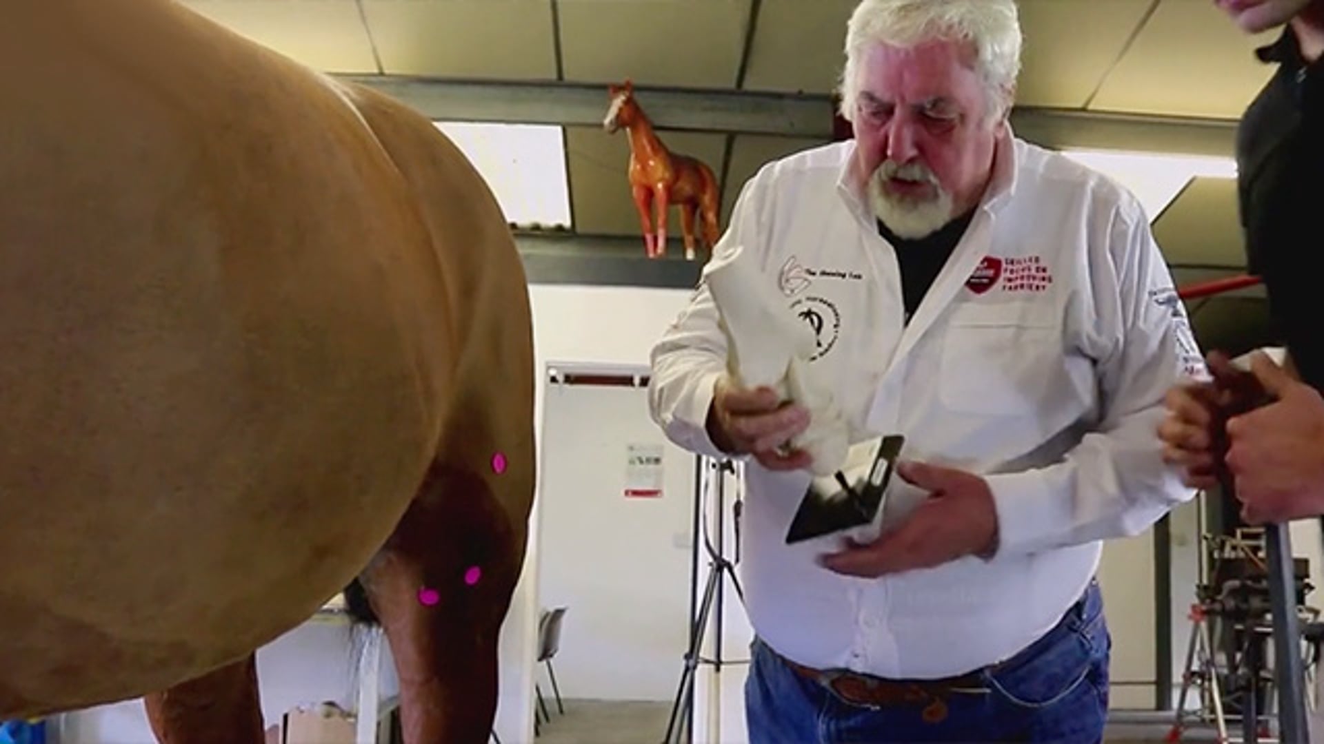 Practical Live Horse Observation – Building A Shoeing Plan with Dr. Mark Caldwell PhD FWCF