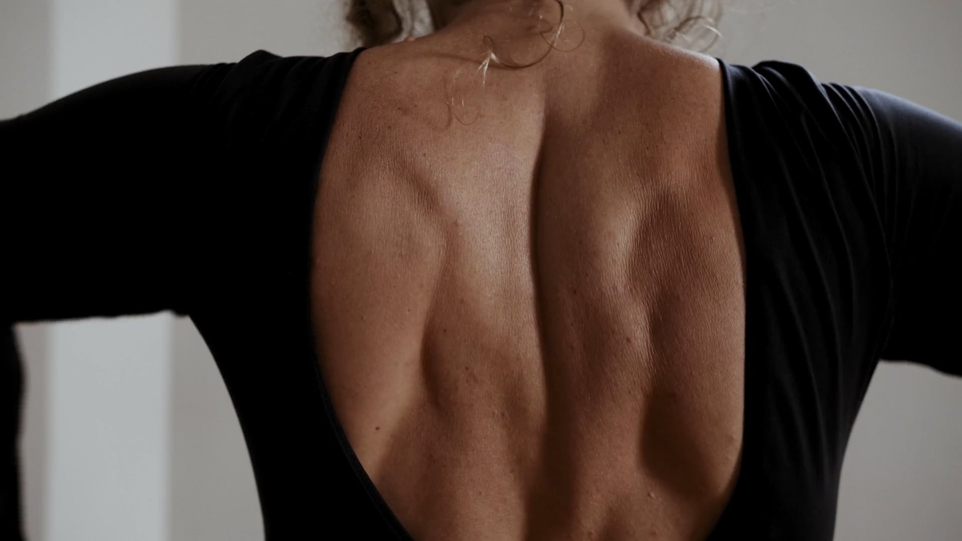 "Dentro de un Olivo"