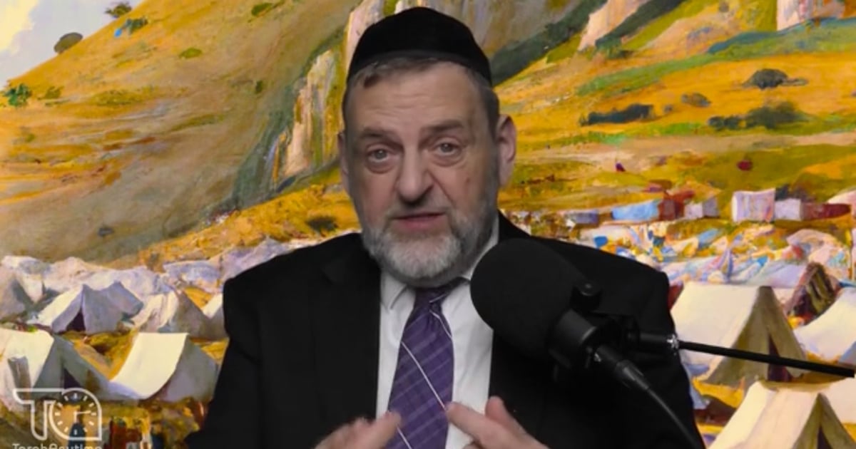 R' Dovid Orlofsky | Parshas Chukas : Our Obligation