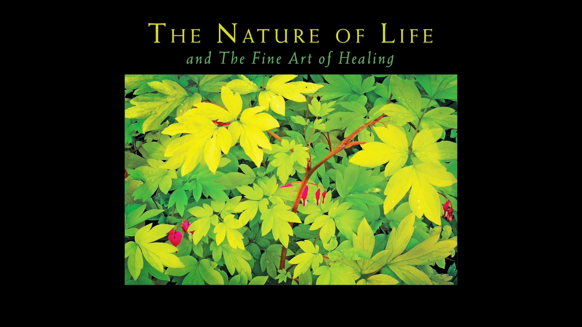 The Fine Art of Healing