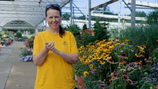 What’s in Store Midsummer 2024