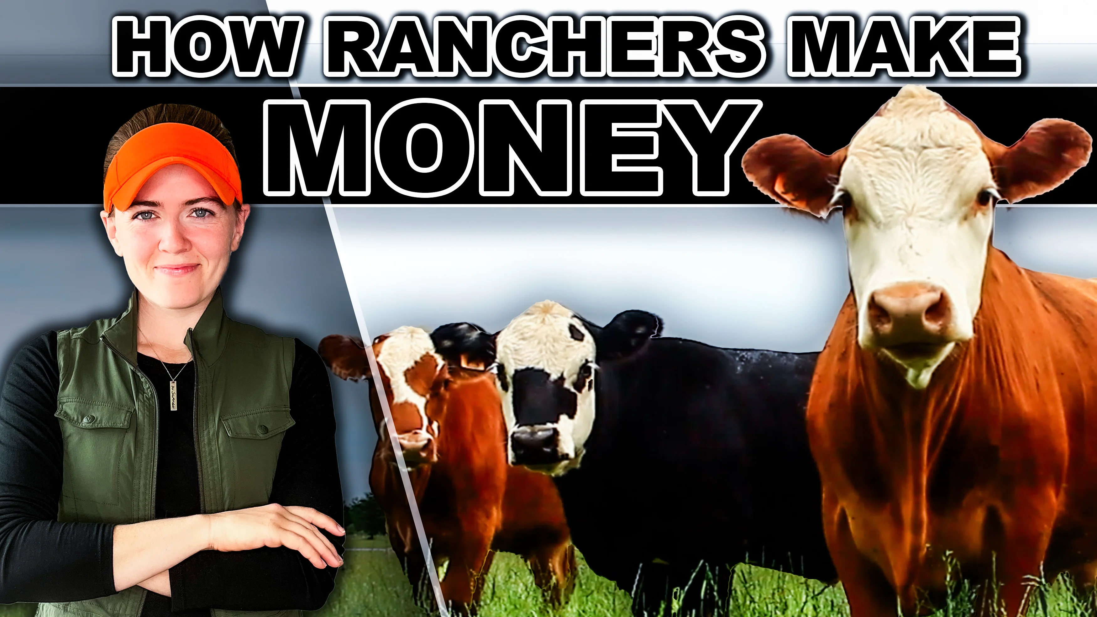 WATCH THIS BEFORE BUYING COWS | HOW RANCHERS MAKE MONEY