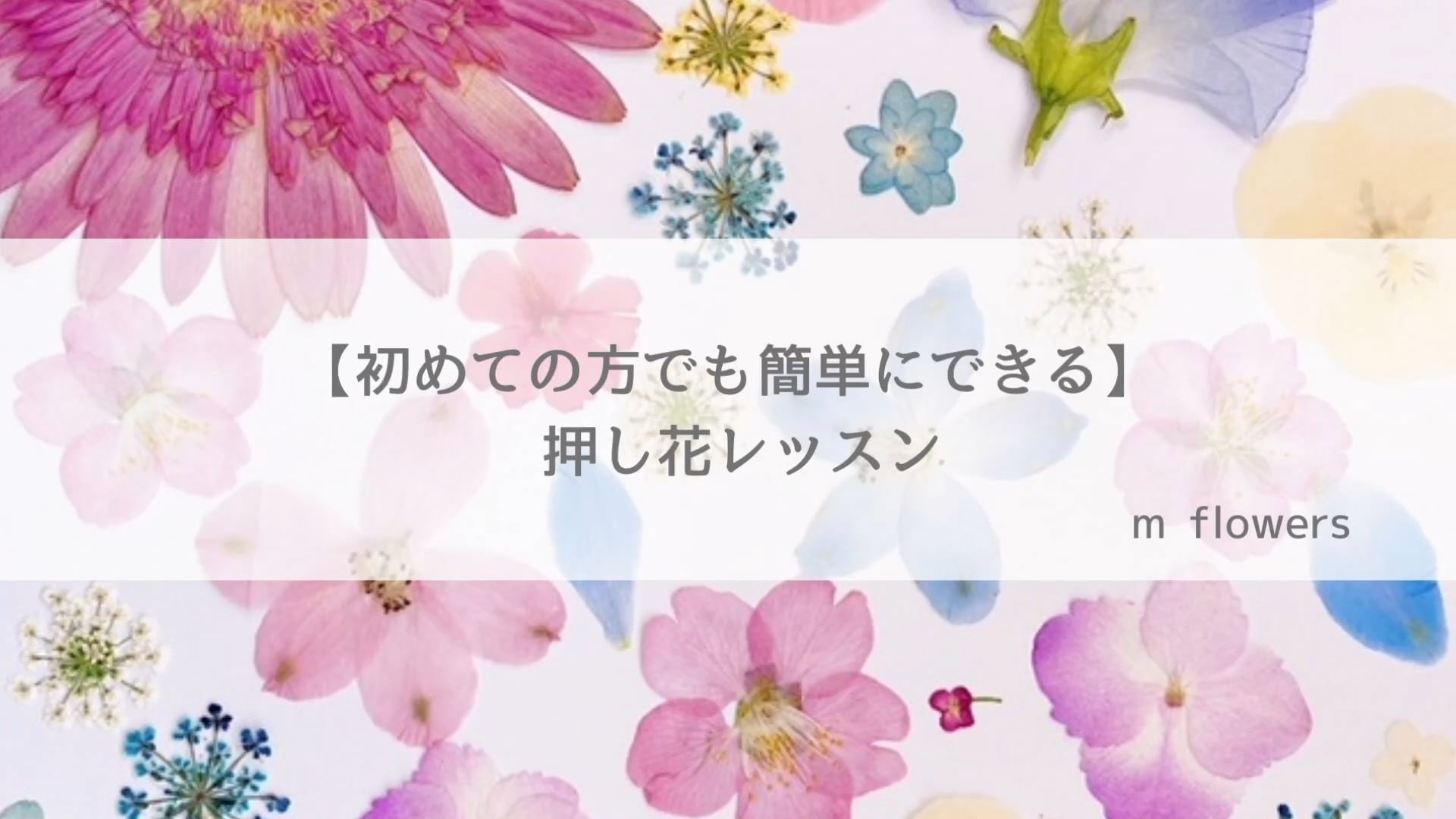 予告編動画のサムネイル画像