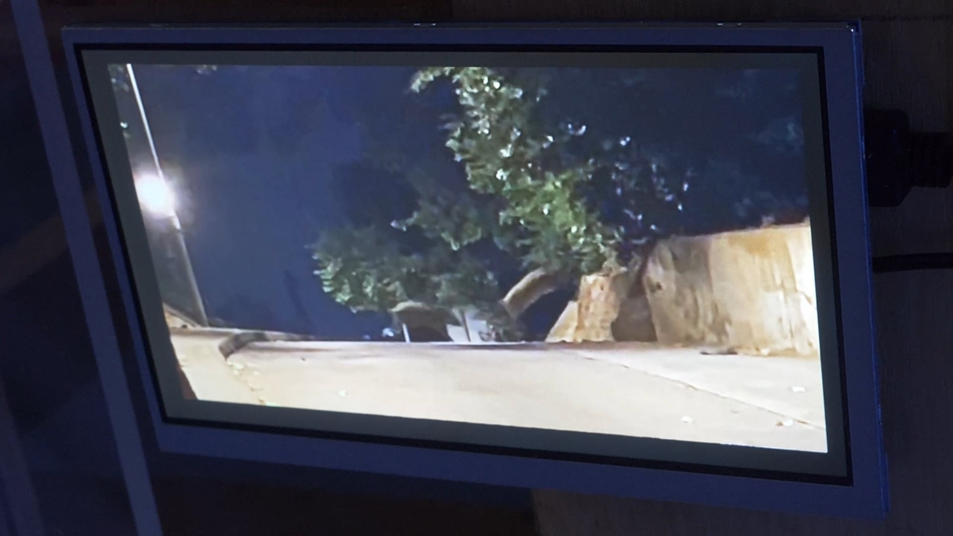 1.3 jumping boars crossing the border