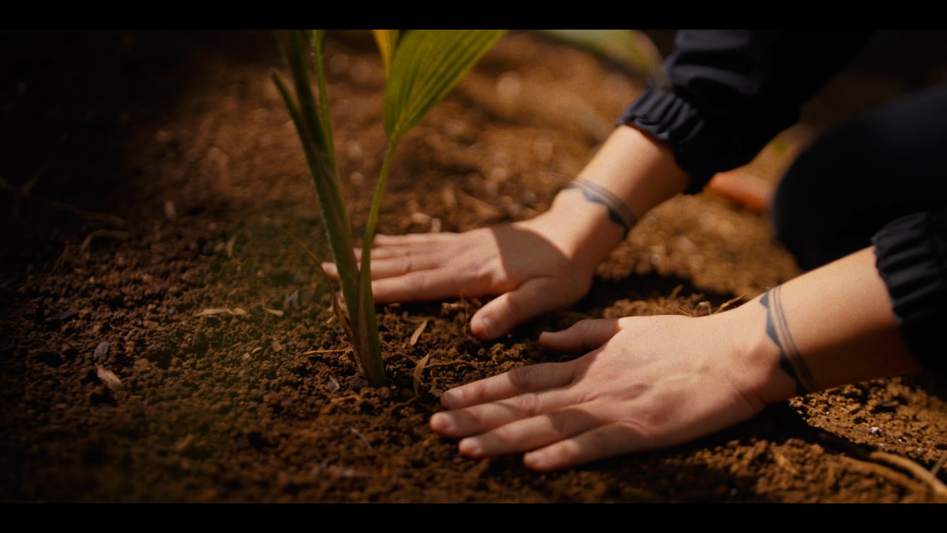 Leilehua Lanzilotti | The Merwin Conservancy Artist In Residence | Director's Cut