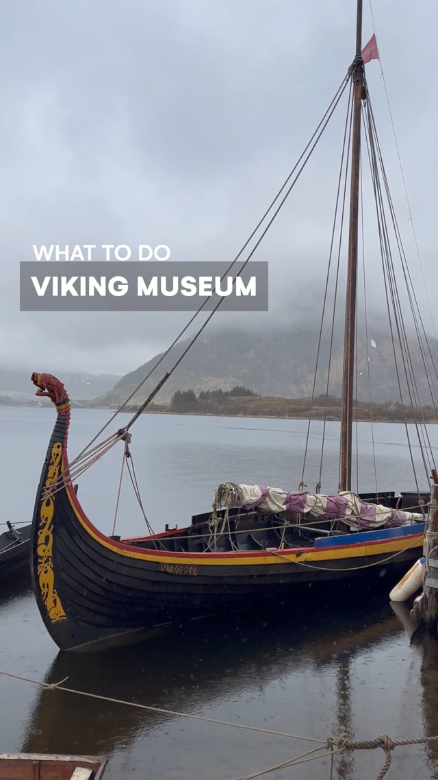Viking Museum