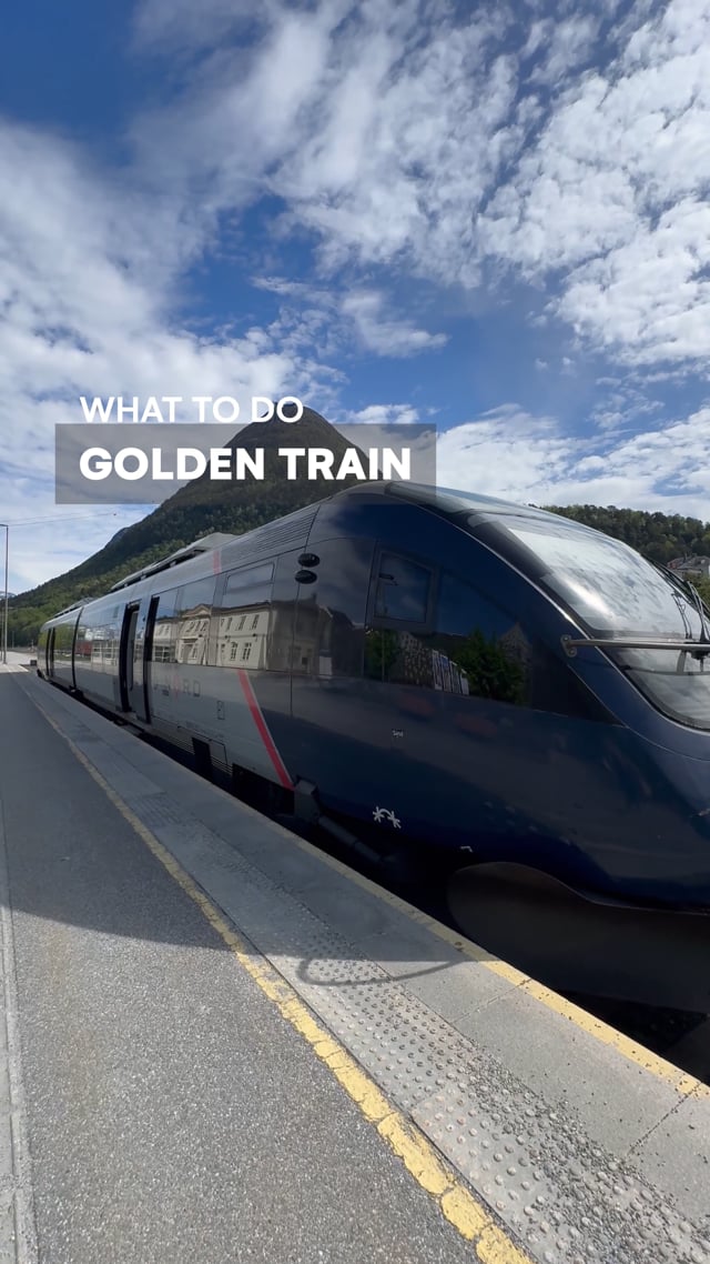 The Golden Train