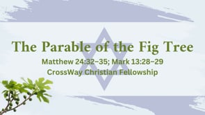 The Fig Tree (Matthew 24:32-35; Mark 13:28-29)