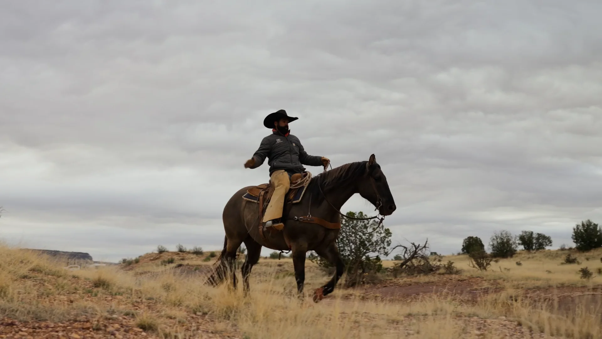 Brand New From Double D Ranch: The Chisholm Trail Collection