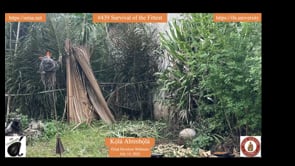 #439 Survival of the Fittest