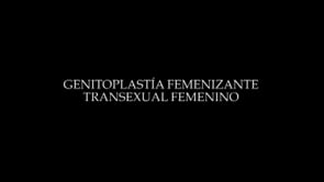 GENITOPLASTIA FEMENIZANTE EN TRANSEXUAL.